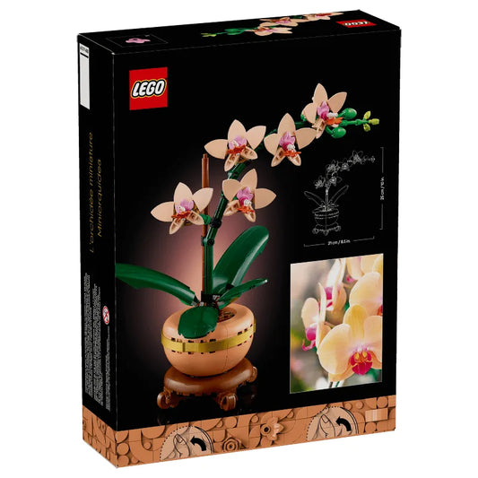 LEGO Botanicals 10343 Mini Orchid 迷你蘭花 香港價錢 $185