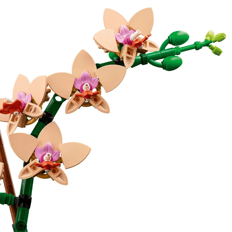 LEGO Botanicals 10343 Mini Orchid 迷你蘭花 香港價錢 $185