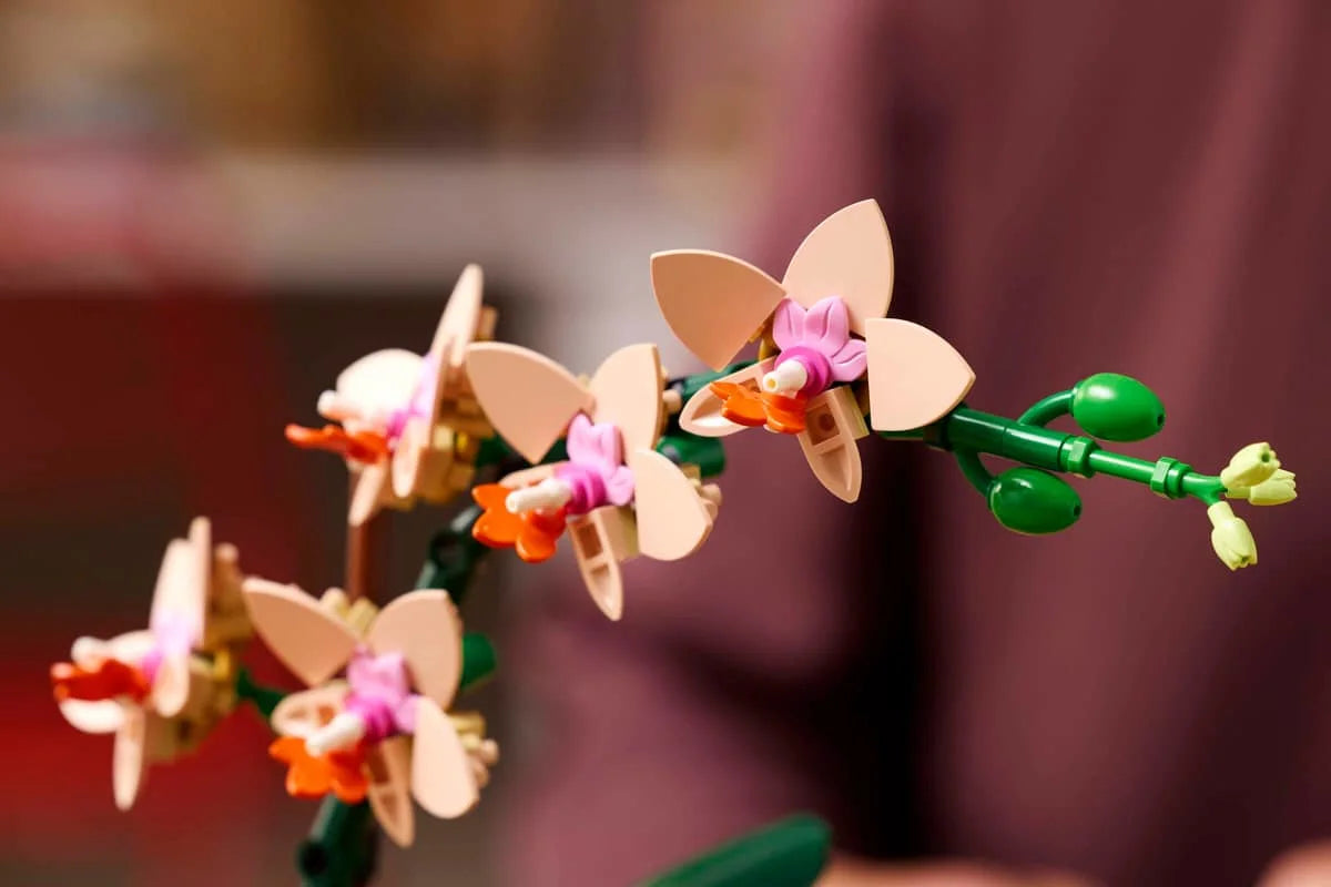 LEGO Botanicals 10343 Mini Orchid 迷你蘭花 香港價錢 $185