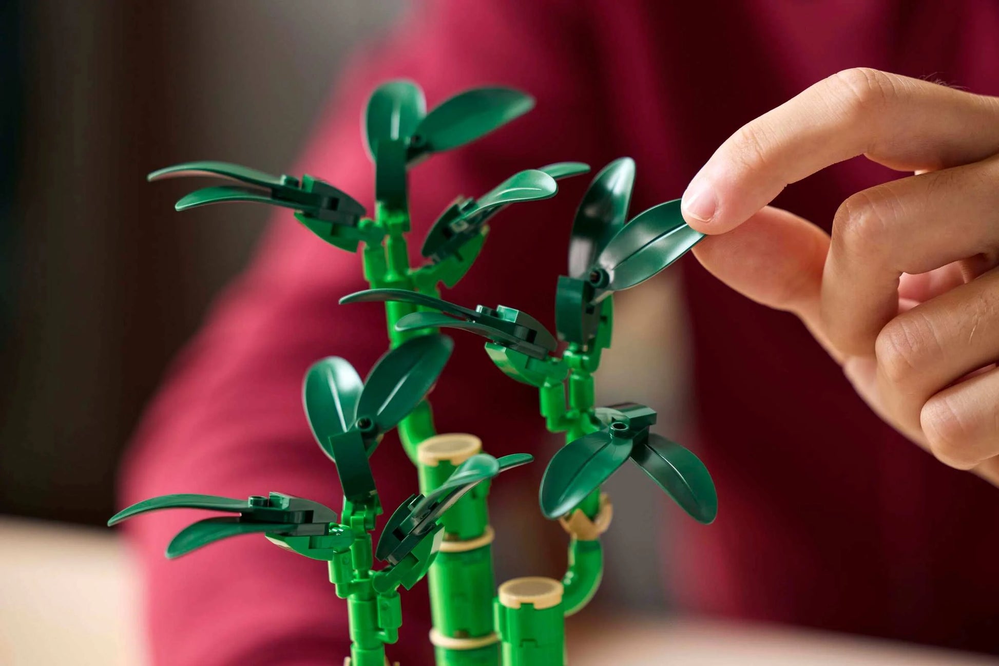 LEGO Botanicals 10344 Lucky Bamboo 富貴竹 香港價錢 $185