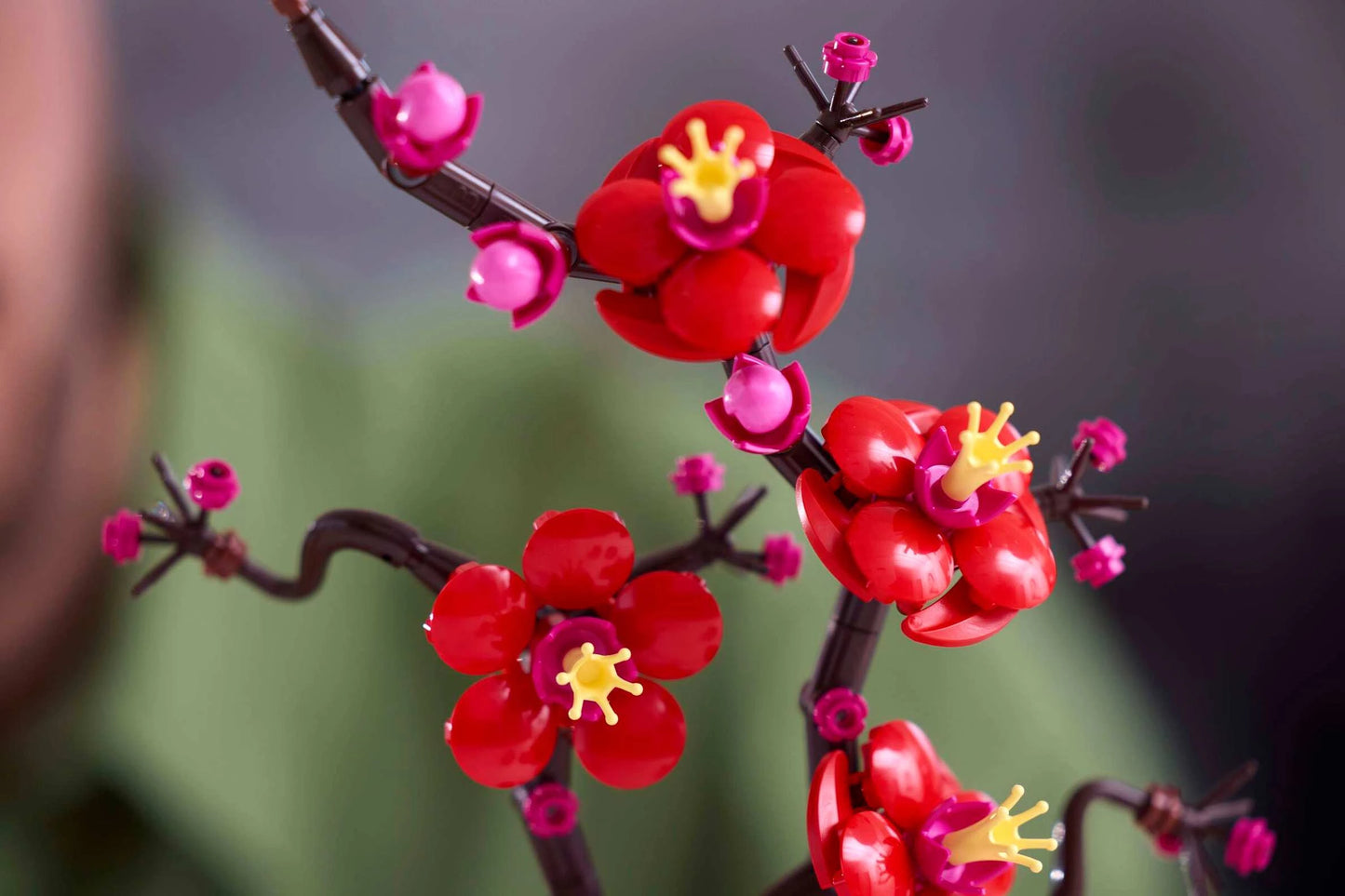 LEGO Botanicals 10369 Plum Blossom 梅花 香港價錢 $205