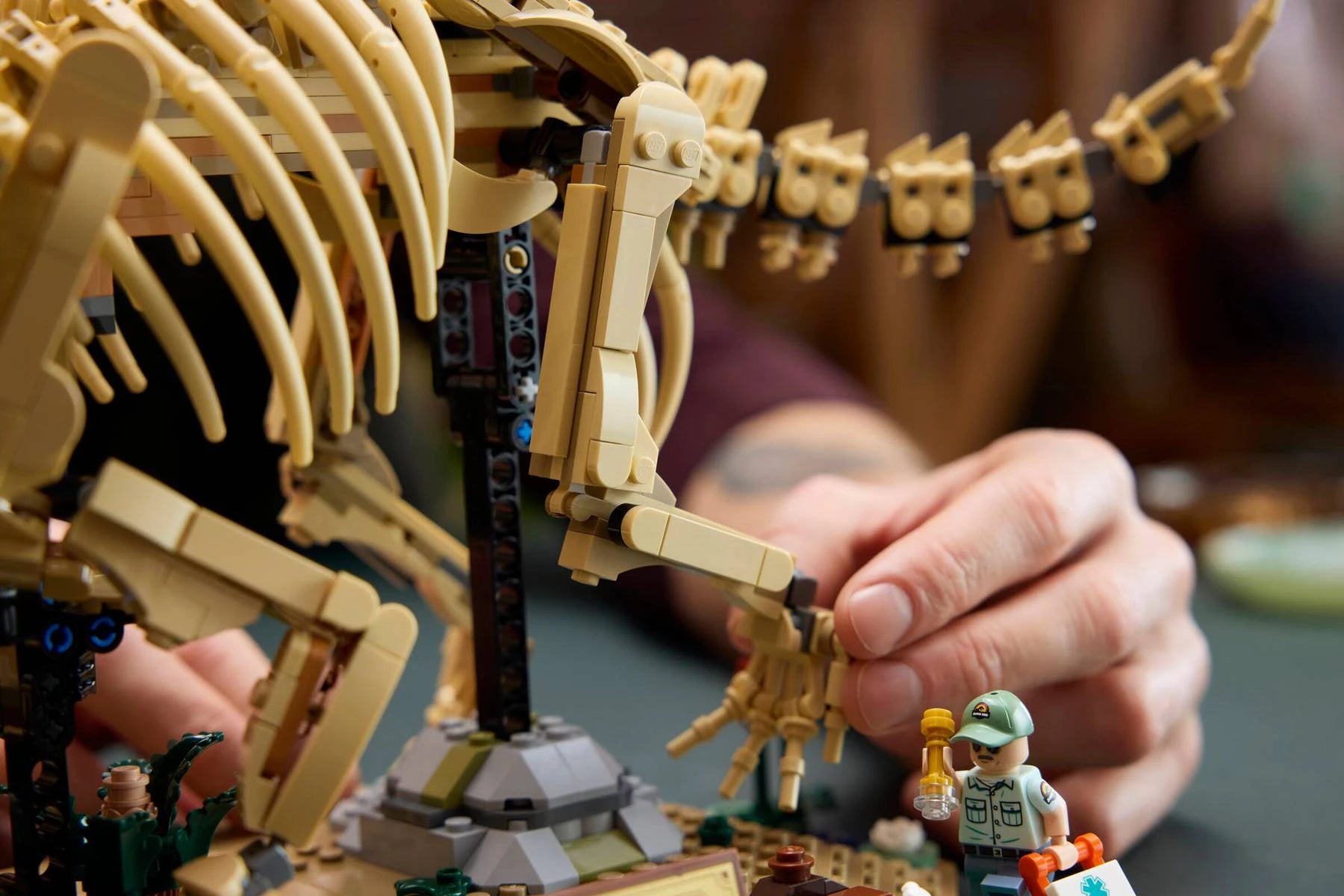 LEGO Jurassic World 77985 Dinosaur Fossils：Triceratops 恐龍化石：三角龍 香港行貨價 $615