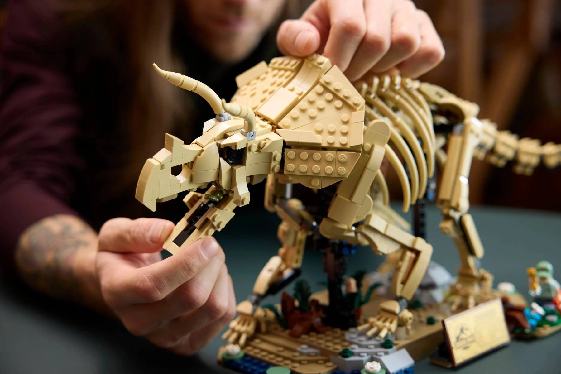 LEGO Jurassic World 77985 Dinosaur Fossils：Triceratops 恐龍化石：三角龍 香港行貨價 $615